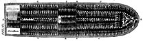 Interior of a Slave Ship